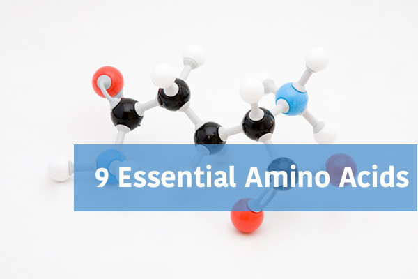 amino acid blog 600x400