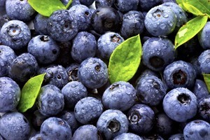 Blog Image Blueberries