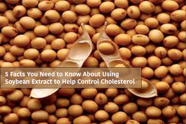 Soybean blog image