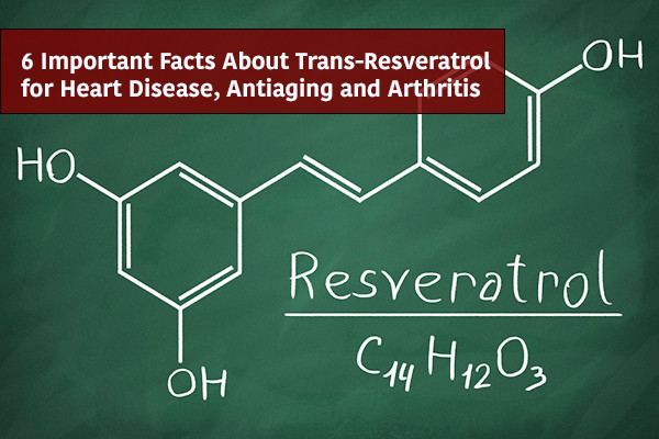 resveritrol blog