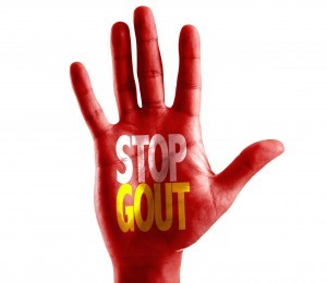 StopGout 300x260