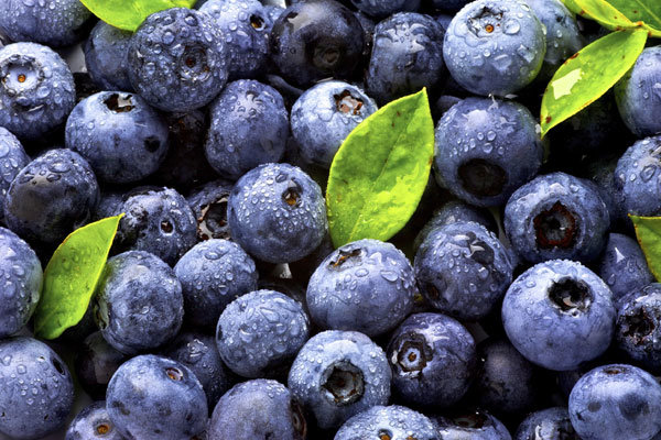 blogImage blueberries 600x400px