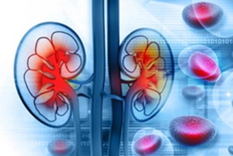Menopause Benefits of Wild Yam