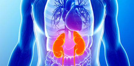 How High Blood Pressure Damages Your Body